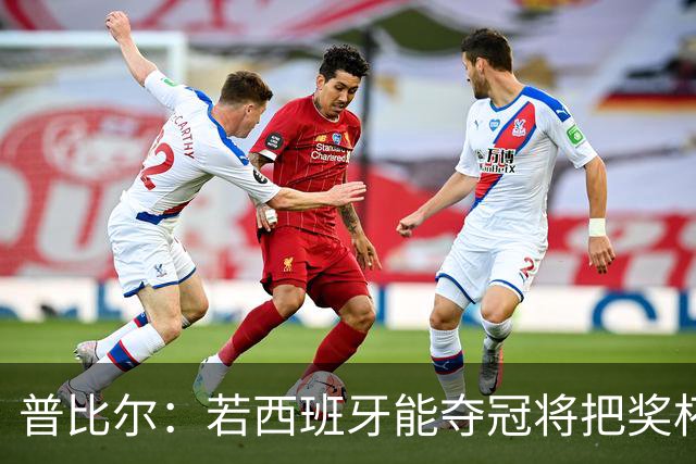 普比尔：若西班牙能夺冠将把奖杯纹在身上 葡萄牙不好对付